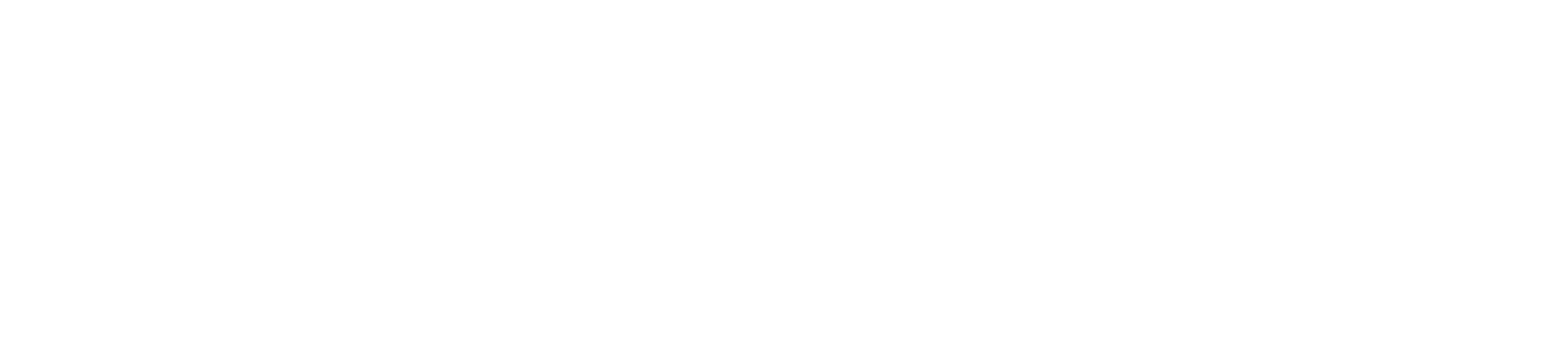bigpanda-full-horizontal-logo-white (2)
